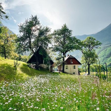 Apartments Mala Korita Soce Soča Buitenkant foto