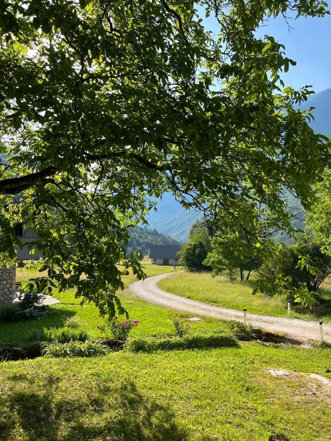 Apartments Mala Korita Soce Soča Buitenkant foto
