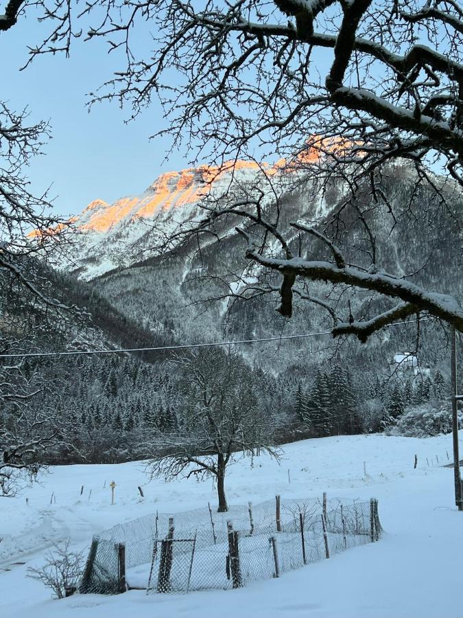 Apartments Mala Korita Soce Soča Buitenkant foto