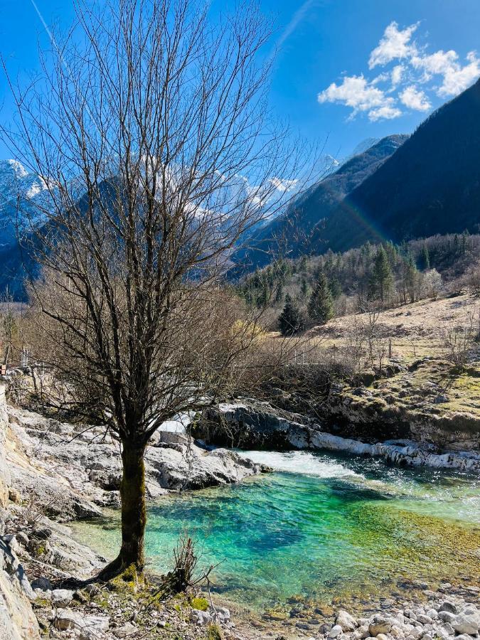 Apartments Mala Korita Soce Soča Buitenkant foto