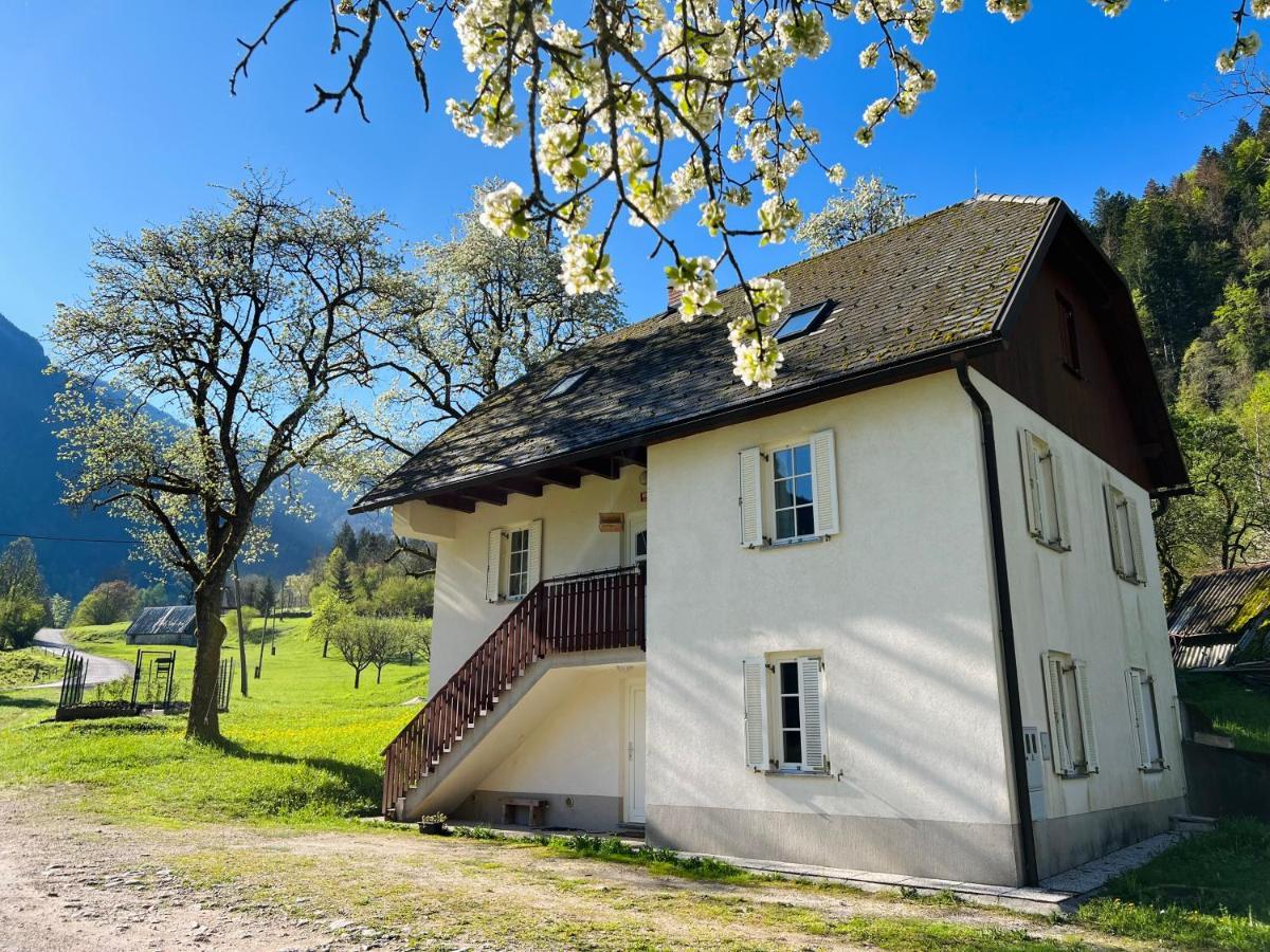 Apartments Mala Korita Soce Soča Buitenkant foto