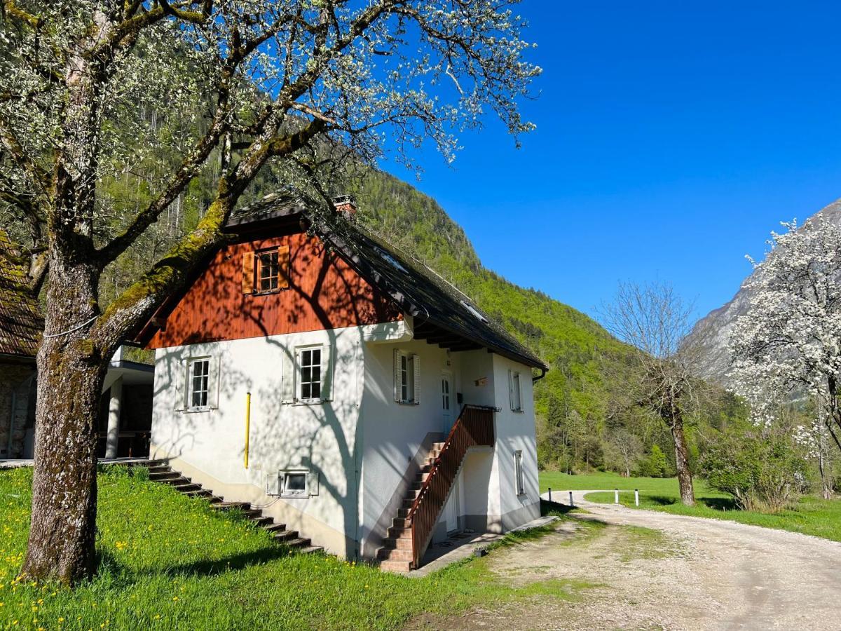 Apartments Mala Korita Soce Soča Buitenkant foto