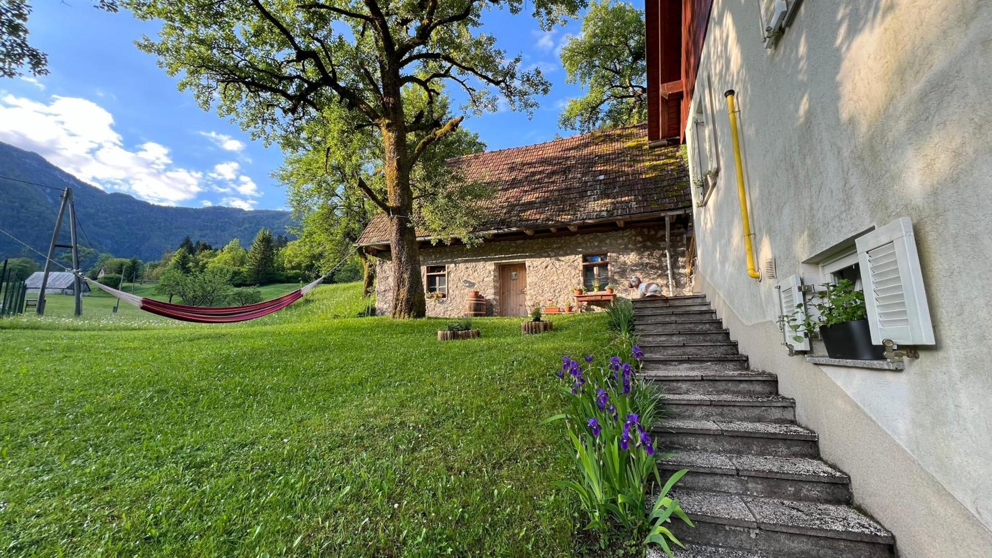 Apartments Mala Korita Soce Soča Buitenkant foto