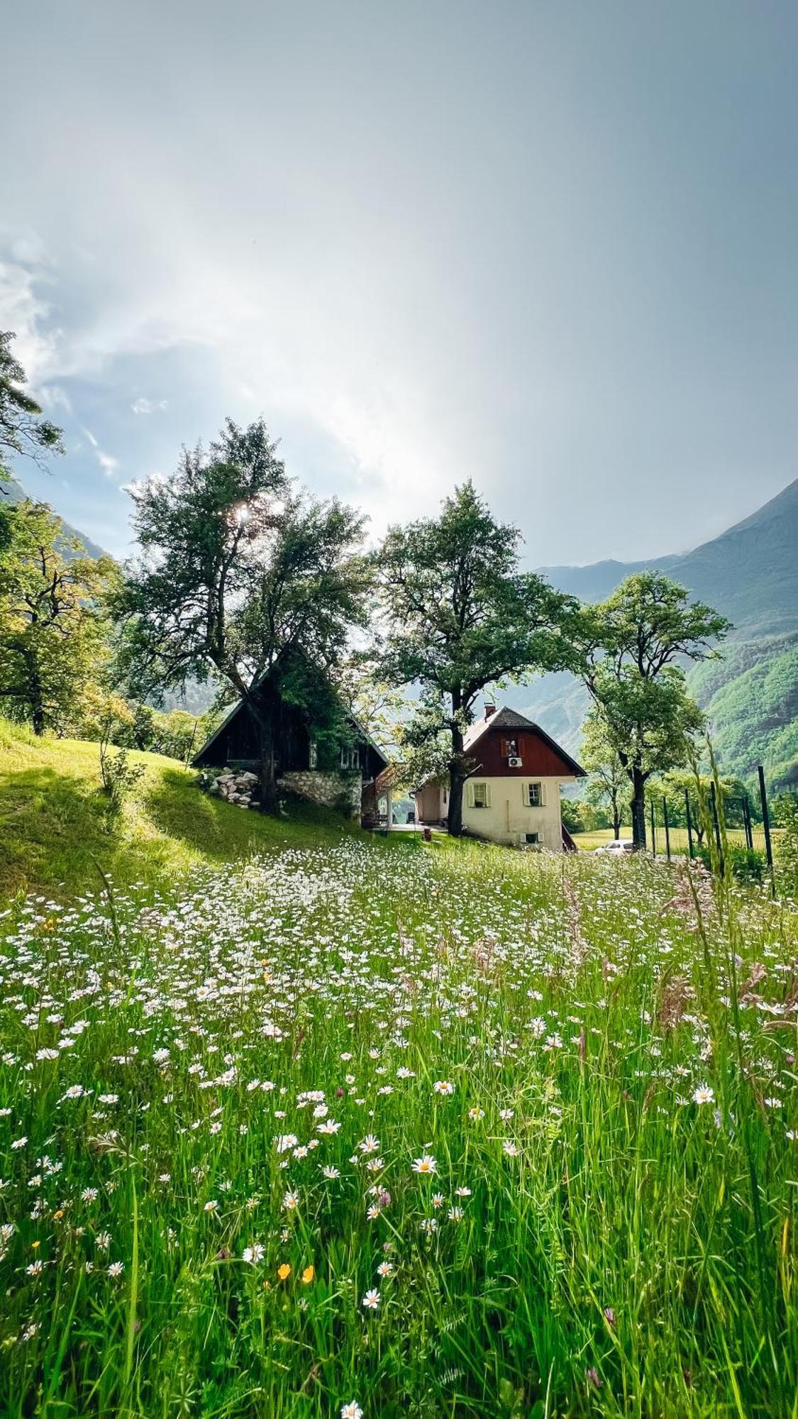 Apartments Mala Korita Soce Soča Buitenkant foto