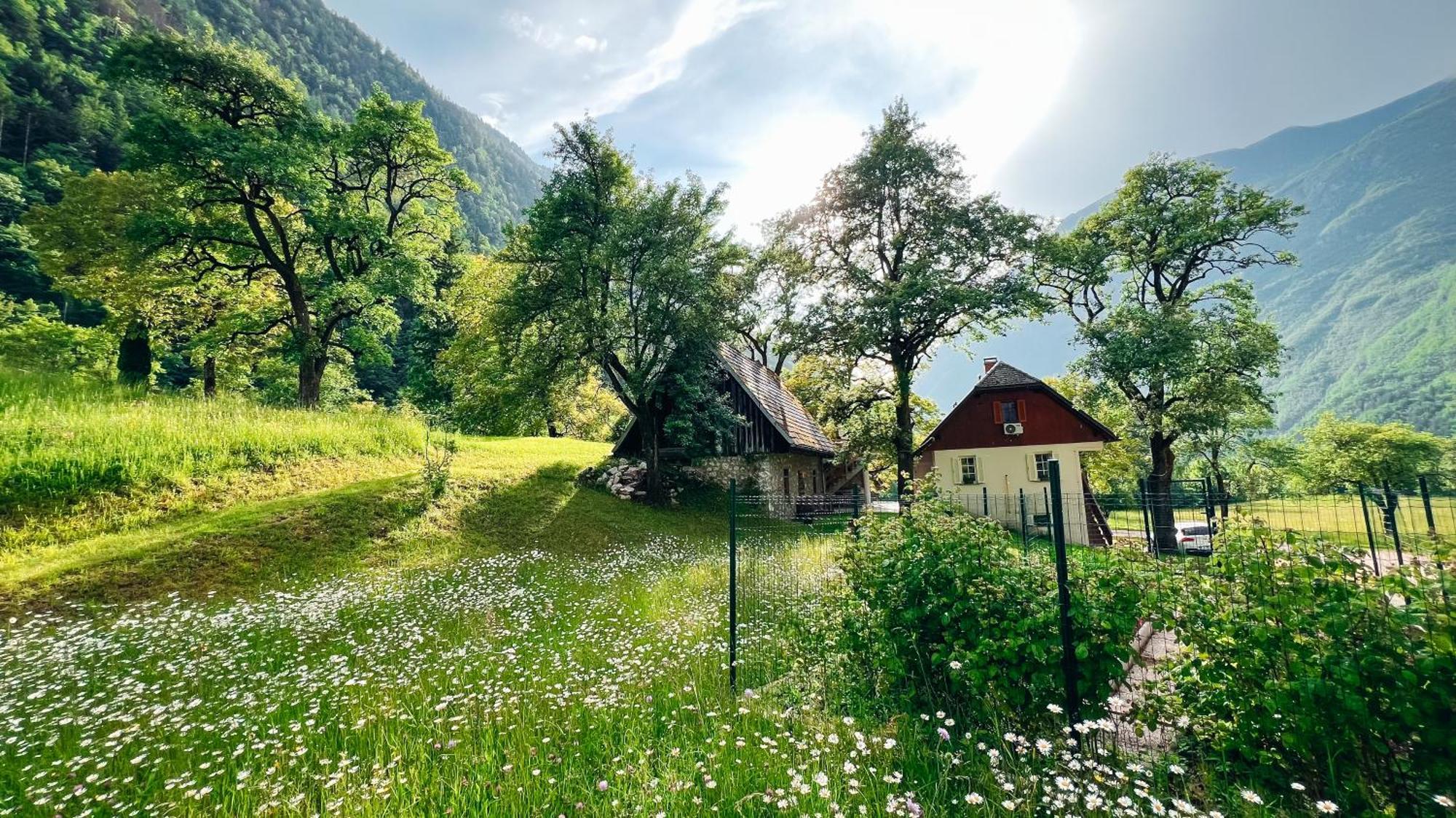 Apartments Mala Korita Soce Soča Buitenkant foto