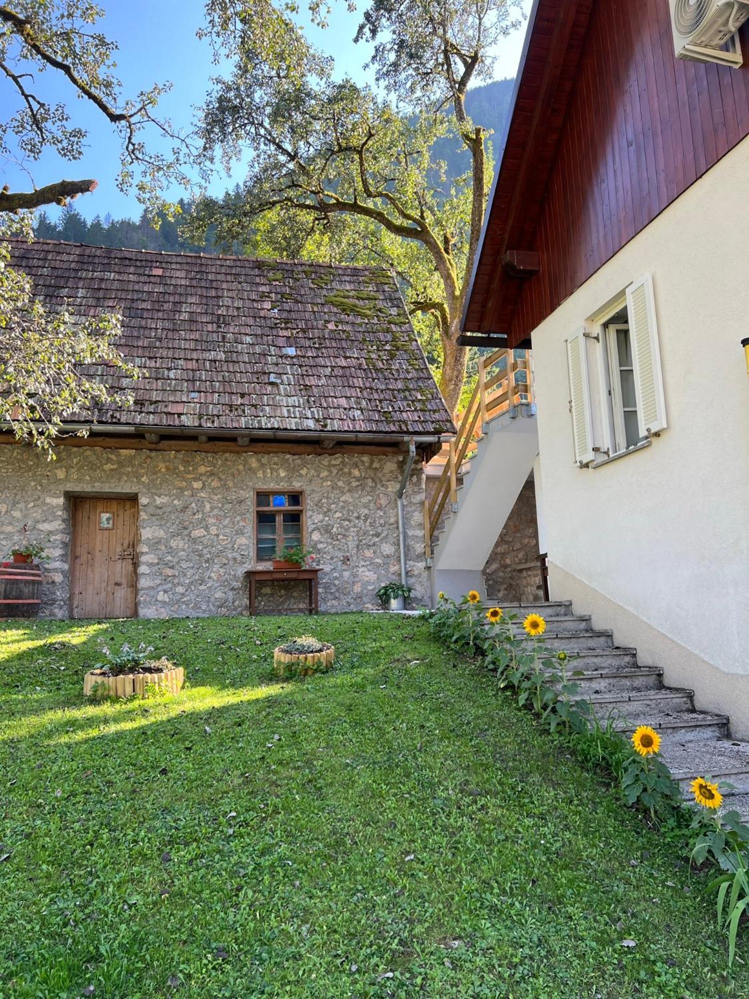 Apartments Mala Korita Soce Soča Buitenkant foto