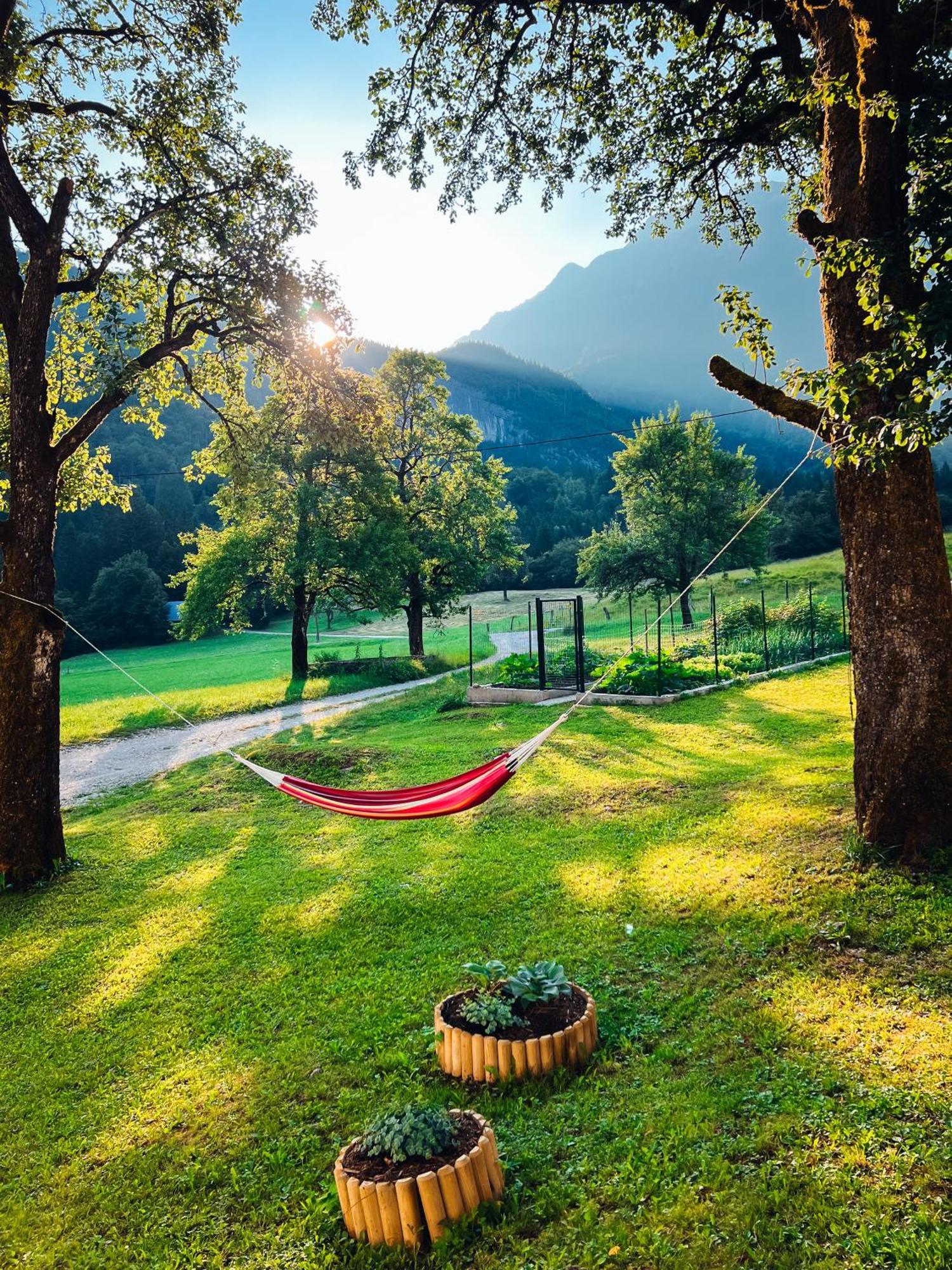 Apartments Mala Korita Soce Soča Buitenkant foto