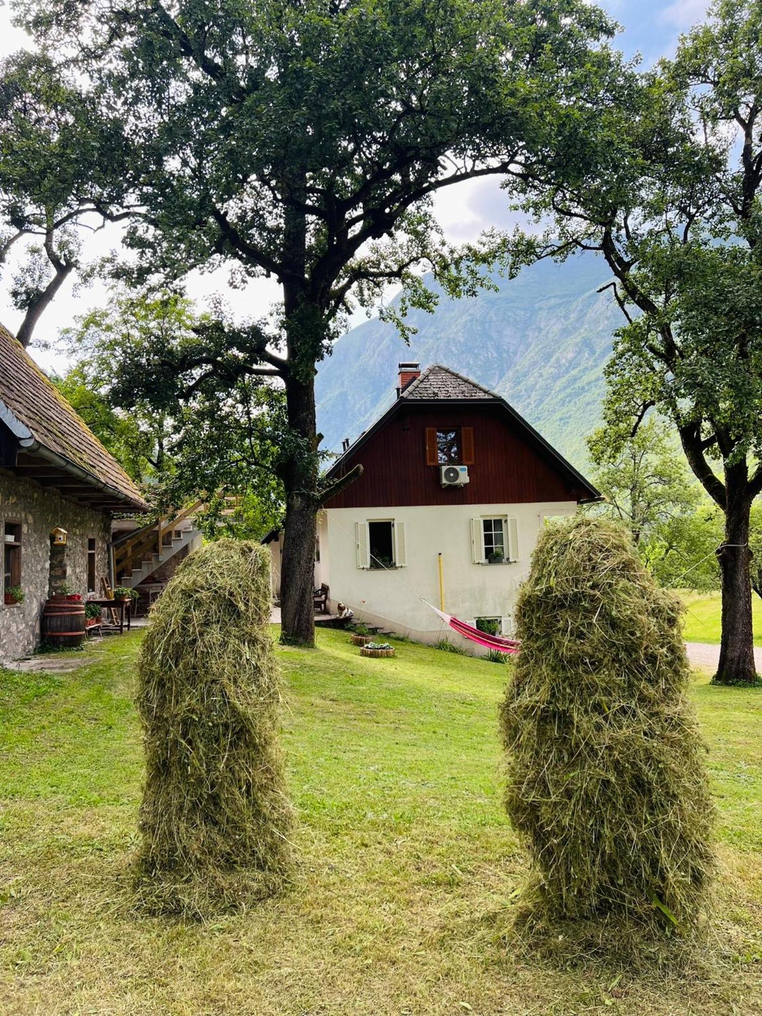 Apartments Mala Korita Soce Soča Buitenkant foto