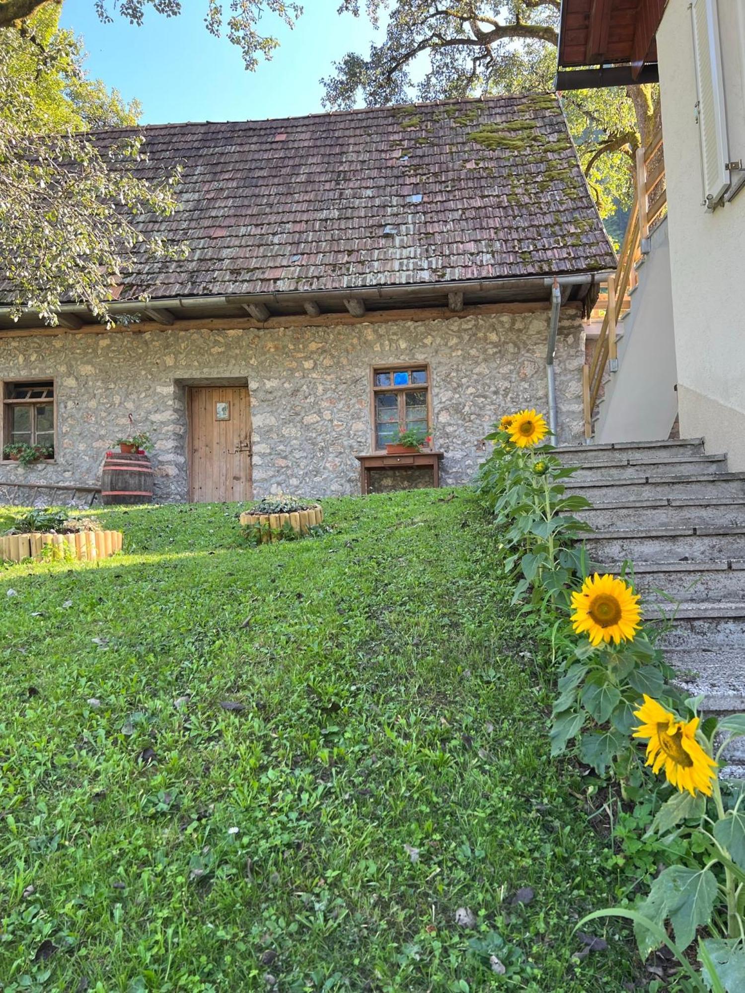 Apartments Mala Korita Soce Soča Buitenkant foto
