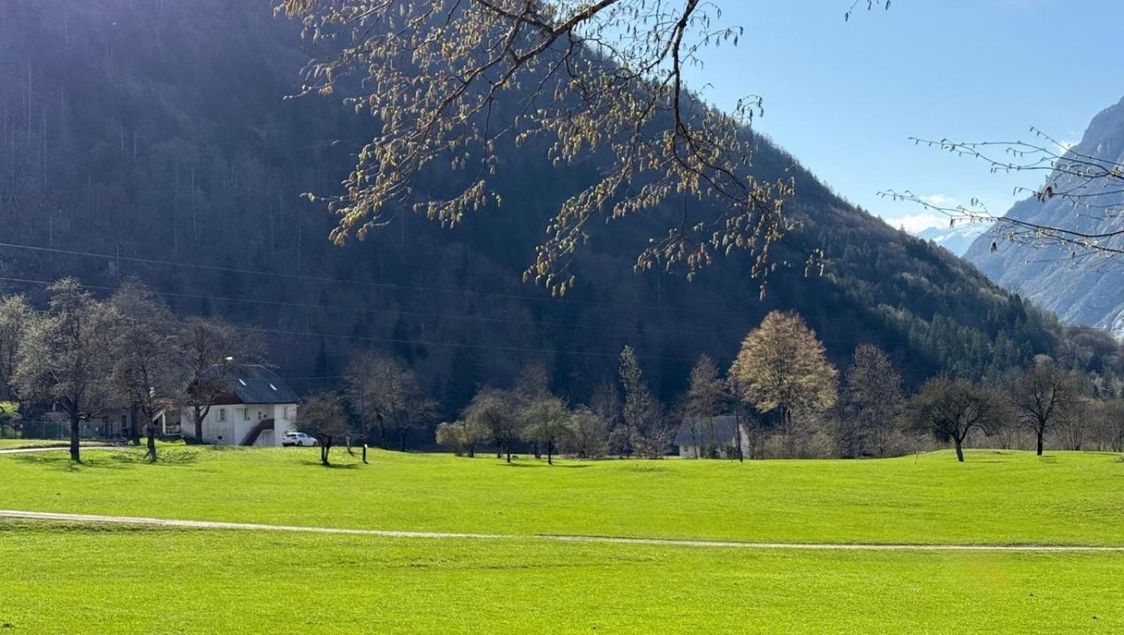 Apartments Mala Korita Soce Soča Buitenkant foto