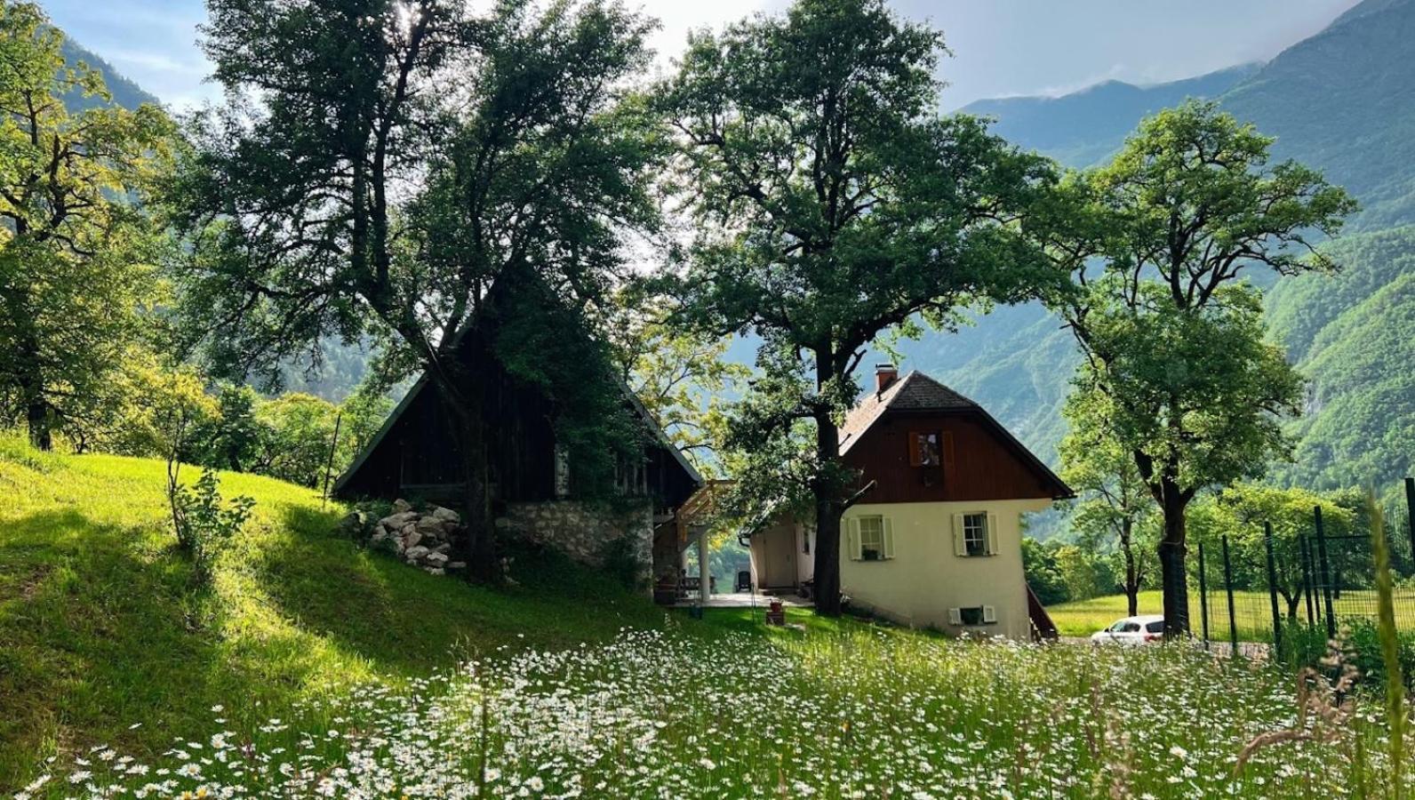 Apartments Mala Korita Soce Soča Buitenkant foto